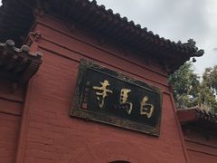 -洛阳白马寺