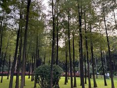-晓港公园
