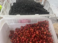 -桃源山庄·摘樱桃·柴火鸡·烧烤团建(龙泉山店)