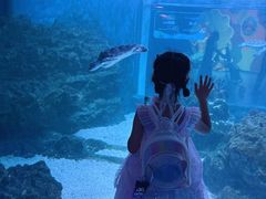 -海合安成都极地海洋公园