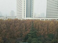 -西京医院