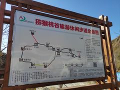 -大岭沟猕猴桃谷风景区