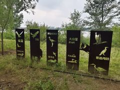 -绿堤公园