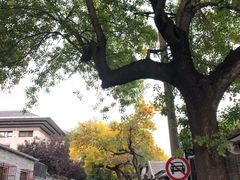 -VOYAGE COFFEE(北锣鼓巷店)