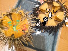 -海胆小馆(东北水饺·春柳店)