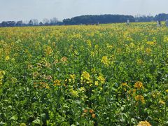 -中国天府农业博览园