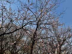 -北京宽沟会议中心