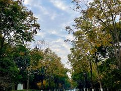 -石湖景区