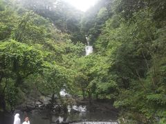 -石台牯牛降景区