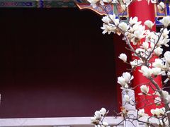 -皇罗禅寺