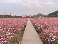 -怪咖·joker陈楠