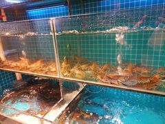 -李久其家民间餐厅(观沙岭公园店)
