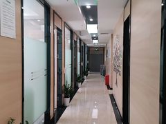 -深圳正夫口腔医疗管理连锁有限公司温莎口腔门诊部(东门店)