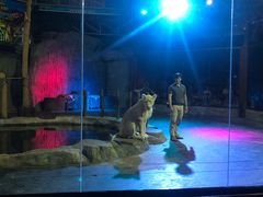 -清迈夜间动物园