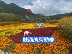-关山草原