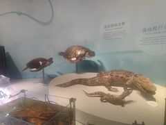-中国湿地博物馆