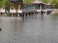 -莲花池公园