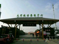 -南汇水蜜桃采摘(大团店)