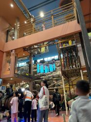 -卡通尼·Safari非洲探索乐园·生日会(金桥国际商业广场店)