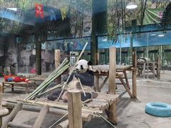 -栾川竹海野生动物园
