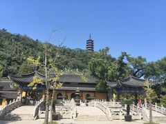 -焦山风景区
