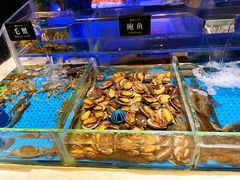 -加餐海鲜自助(宝龙一城店)