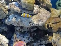 -临沂极地海洋王国