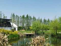 -前小桔亲子创意农场·草莓采摘·露营烧烤