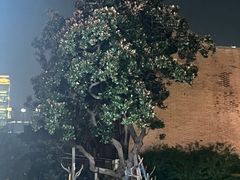 -丰盛里