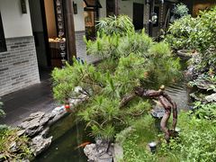 -顺德渔村·岭南一号