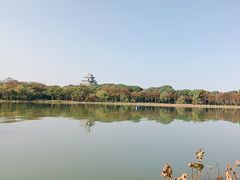 -金鸡湖桃花岛
