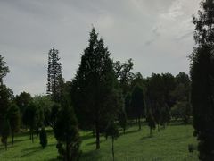 -中岳庙