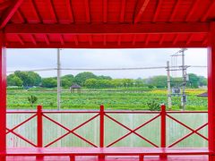 -嘉北郊野公园