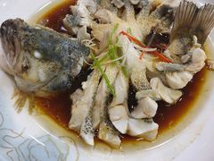 -同发号饭庄(复兴路店)