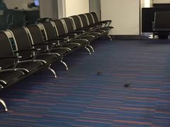 -约翰·菲茨杰拉德·肯尼迪国际机场