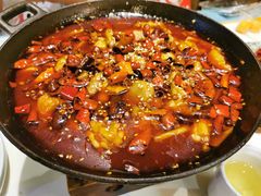 香辣芋儿蛙-付掌柜在成都·热炒砂锅集(金禾店)