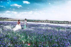 -施华洛婚纱摄影会所(范阳中路店)