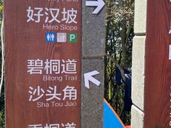 -梧桐山风景名胜区