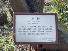 -大蜀山国家森林公园
