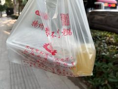 -正宗忘不了老鹅(梅岭店)