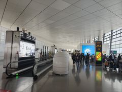 -郑州新郑国际机场-T2航站楼