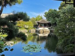 -鑫震源·苏式大虾生煎(山塘街店)