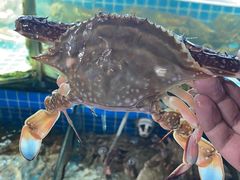 -望海潮海鲜店 特色家常菜(在海一方店)