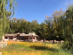 -红山国家森林公园