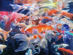 -厦门海底世界