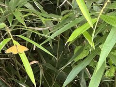 -东天目山风景区