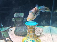 -南昌融创海世界