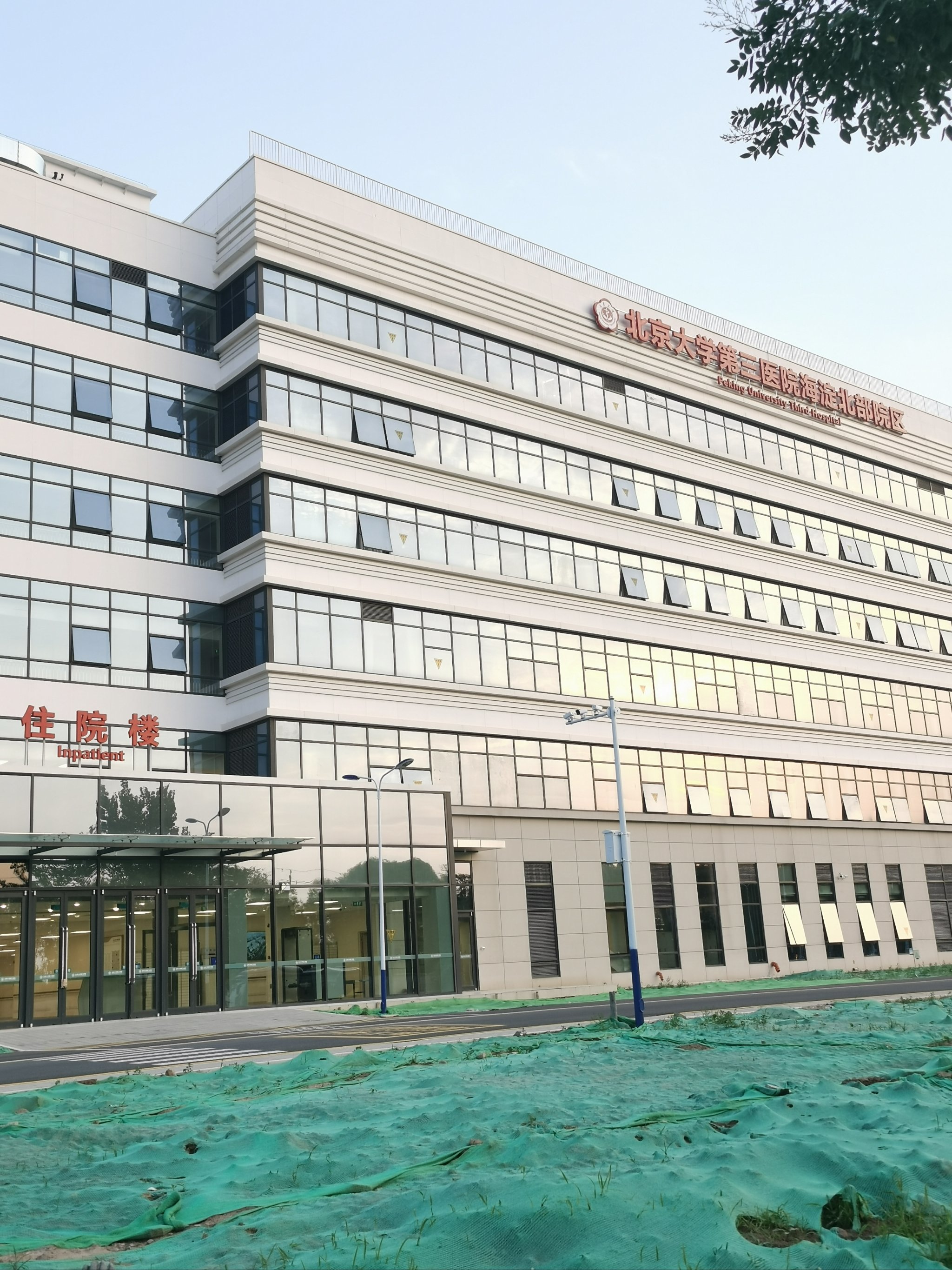 包含北医三院、海淀区代挂号，诚信快速贴心服务的词条