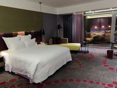 -南京禄口机场雅高铂尔曼大酒店