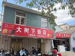 -大树下饭店(春晓镇慈岙社区卫生服务站南)